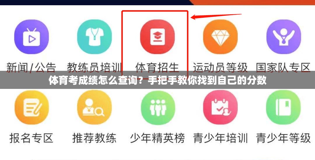 体育考成绩怎么查询？手把手教你找到自己的分数
