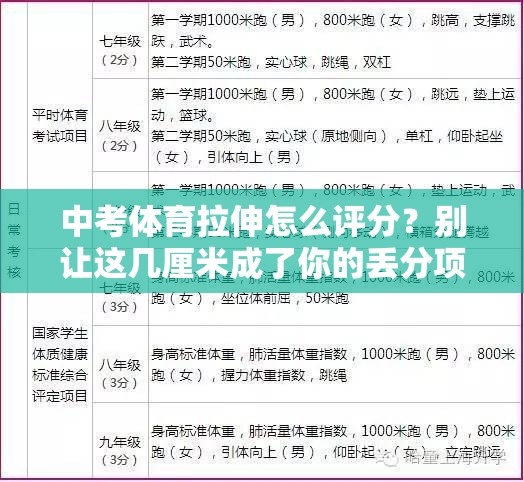 中考体育拉伸怎么评分？别让这几厘米成了你的丢分项