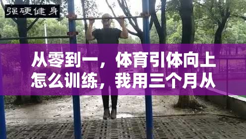 从零到一，体育引体向上怎么训练，我用三个月从0个拉到12个