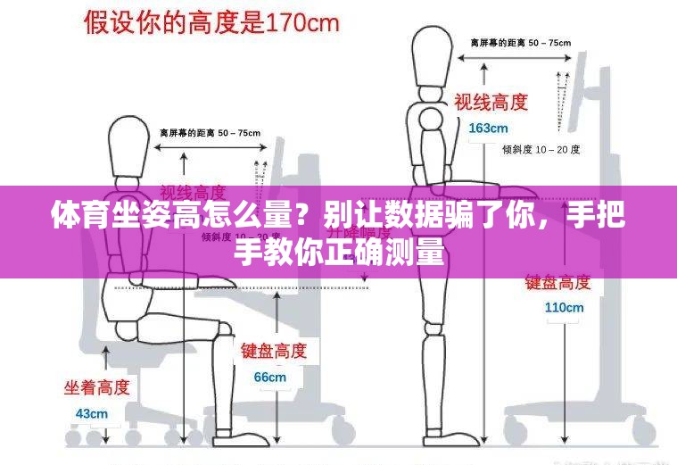 体育坐姿高怎么量？别让数据骗了你，手把手教你正确测量