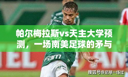 帕尔梅拉斯vs天主大学预测，一场南美足球的矛与盾之争，谁能在解放者杯笑到最后？