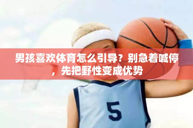 男孩喜欢体育怎么引导？别急着喊停，先把野性变成优势