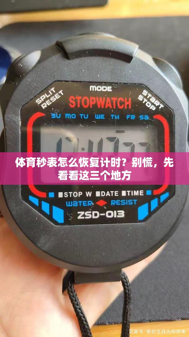体育秒表怎么恢复计时？别慌，先看看这三个地方