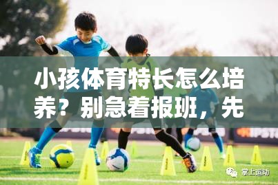 小孩体育特长怎么培养？别急着报班，先想清楚这三件事