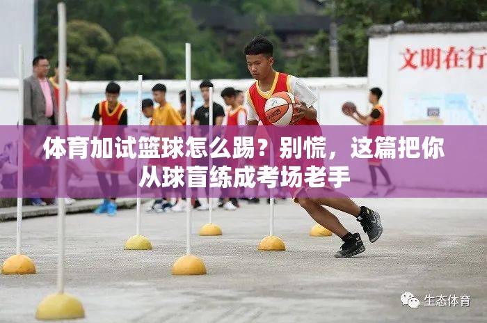 体育加试篮球怎么踢？别慌，这篇把你从球盲练成考场老手